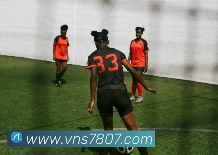 威尼斯娱乐平台发展历程