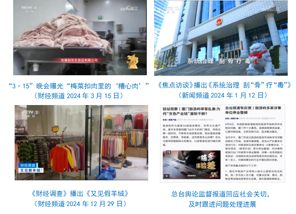 社会责任报告（2024年度）冰球突破游戏中央广播电视总台(图19)